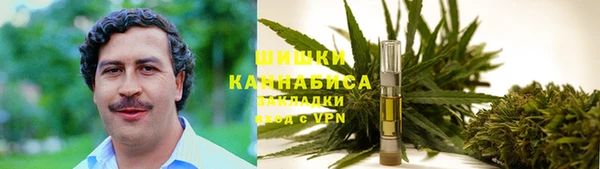 СК Алексин