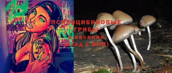 СК Алексин
