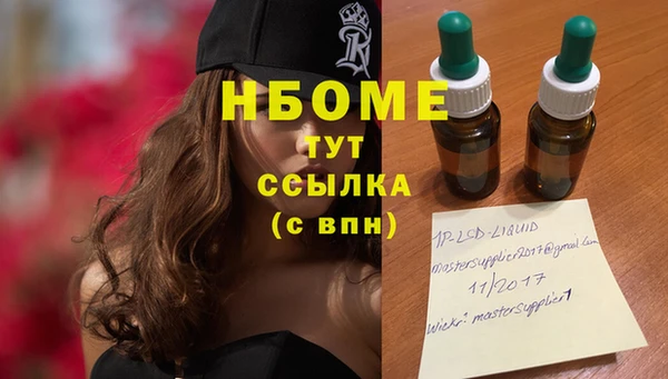 СК Алексин
