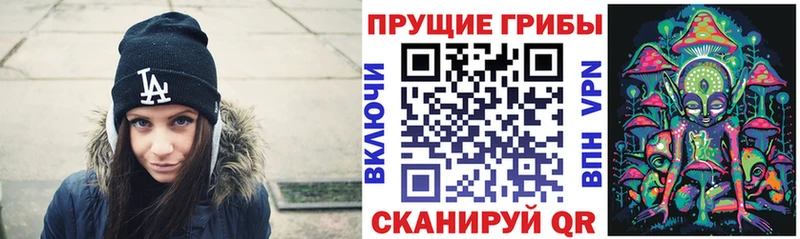 Галлюциногенные грибы мицелий  Андреаполь 